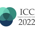 ICC 2022